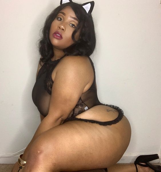 Wild Kitty